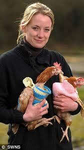 Jo Eglen, vraie mère poule, insolite, chaumière, fait faire des pulls, pas froid, volatiles, confortable, centre de secours, pondeuses, batterie,