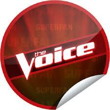 casting-de-the-voice-saison-3.jpg