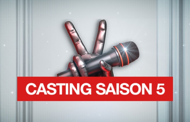 Casting les voix de la chance 2015 saison 5