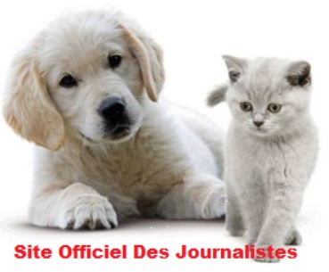 Chien chat nouvelle loi