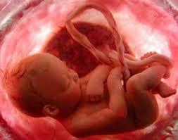 Enfant dans l uterus