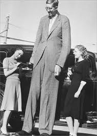 L homme le plus grand du monde robert wadlow