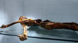 momie Otzi, nouveau secret, 5000 ans, globules rouges, scientifique, homme des glaces, étrange, microscope, atomique, flèche, insolite,