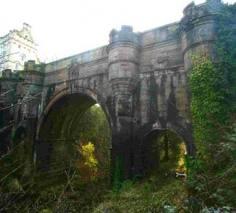 le pont d'Overtoun, chiens, se suicident, insolite, paranormal, vidéo, étrange, mystère, animaux, histoire,