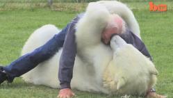meilleur ami, ours polaire, insolite, canadien, gros nounours, adopté, Agee, 400 kg, publicités, Mark Dumas,