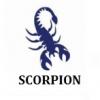 Scorpion 2016 horoscope astrologie voyance horoscope numerologie tarots marie claire estevin signe site officiel des journalistes