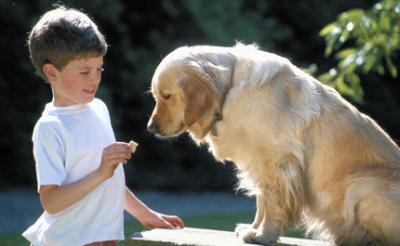 Un enfant sauve par son chien