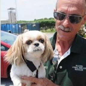 un maître, retrouve son chien, 7 ans après, disparition, insolite, Shih Tzu, Mimi, mystérieusement, incompréhension totale, recueillie,