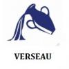 Verseau 2016 horoscope astrologie voyance horoscope numerologie tarots marie claire estevin signe site officiel des journalistes