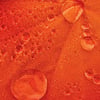mystérieuses, pluies rouges, Inde, averses, Kerala, échantillons, phénomène, physicien, Godfrey Louis, extraterrestre, microbes, matériel biologique, espace, météorite, paranormal,