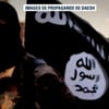 Terroriste daech